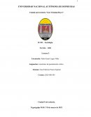 Asignación: cuestiones de pensamiento crítico