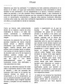 Actividades artísticas y culturales IV Danza