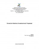 Evolución Histórica Constitucional: Propiedad