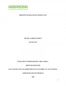 REDISEÑO DE PROCESOS DE PRODUCCION