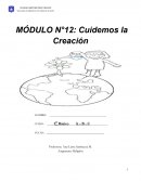 Cuidemos la creacion