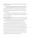 Constitución y función celular a partir de la composición química del agua, algunos minerales, y biomoléculas