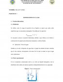 Practica 2 - Práctica de Laboratorio. Presión hidrostática