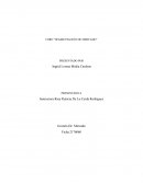 FORO “SEGMENTACIÓN DE MERCADO” SANAGUSTO