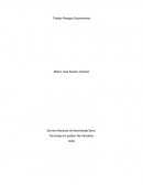 Trabajo Riesgos Ergonomicos