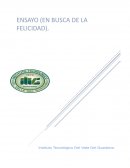 En busca de la felicidad