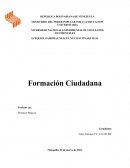 Analisis Ley Consejos Comunales