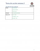 Formato Informe Ejecutivo Caso Ventanas Verdes