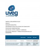 ESTILOS DE LIDERAZGO Y TRABAJO EN EQUIPOS DE ALTO DESEMPEÑO