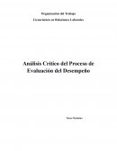 Análisis Crítico del Proceso de Evaluación del Desempeño