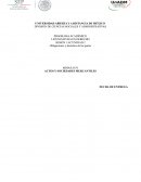 MÓDULO IV ACTOS Y SOCIEDADES MERCANTILES
