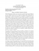 Riesgo y racionalidad: 2 principios enfrentados