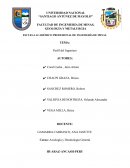 Perfil del Ingeniero