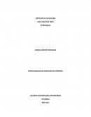 PROYECTO DE APLICACIÓN CASO PRACTICO FINAL ESTRATEGIAS
