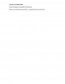 Políticas y procedimientos específicos – Componetizacion de activos fijos