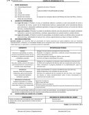 PLAN DE CIERRE Y RECUPERACIÓN DE MINA