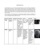 Nanotecnologia actividad 3
