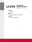 Metodología de la Investigación, diseño y ejecución