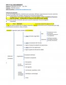 TP 5- MERCADO -Actividad económica