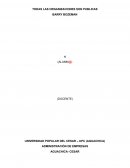 TODAS LAS ORGANIZACIONES SON PUBLICAS