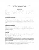 Ensayo sobre la importancia de la contabilidad