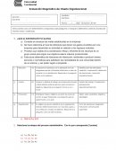 Evaluación Diagnóstica de: Diseño Organizacional