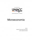 Ejercicio de microeconomia