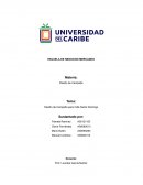 Diseño de Campaña para Café Santo Domingo