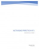Actividad practica Evaluación de proyectos y consultoria