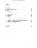 CONVENCION SOBRE LOS DERECHOS DEL NIÑO