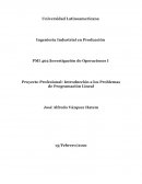 Proyecto Profesional: Introducción a los Problemas de Programación Lineal