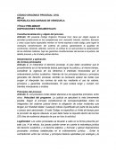 DISPOSICIONES FUNDAMENTALES Constitucionalización y objeto del proceso