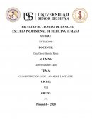 GUIA NUTRICIONAL DE LA MADRE LACTANTE