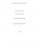 DESARROLLO DEL PENSAMIENTO LÓGICO MATEMÁTICO