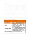 La elaboración de un plan de trabajo o propuesta para la realización de auditorías internas en una empresa