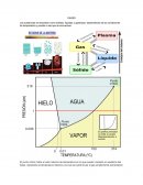 Gases