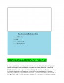 VANGUARDIAS ARTISTICAS SIGLO XX