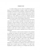 Escritura