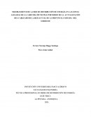 MEJORAMIENTO DE LA RED DE DISTRIBUCIÓN DE ENERGÍA