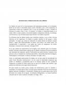 BENEFICIOS Y PERJUICIOS DE LOS LÍPIDOS