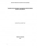 PROYECTO PEDAGOGICO DE ESTILOS DE VIDA SALUDABLE