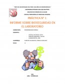 PRÁCTICA N° 1 INFORME SOBRE BIOSEGURIDAD EN EL LABORATORIO