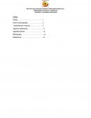 RESIDENCIA Y MEMORIA PROFESIONAL