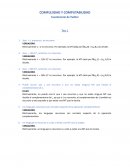 Complejidad y Computabilidad