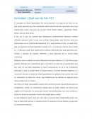 Los niños con altas capacidades