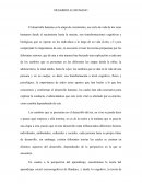 Ensayo desarrollo humano