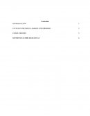 UN NUEVO MUNDO LLAMADO UNIVERSIDAD