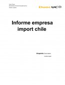 Informe empresa import chile