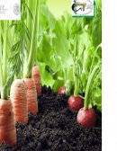 Abonos organicos. Fertilzante multinutrientes o combinados