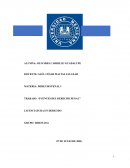 Fuentes del derecho penal